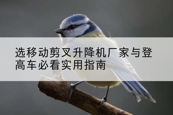 井冈山电动升降机厂家-选移动剪叉升降机厂家与登高车必看实用指南