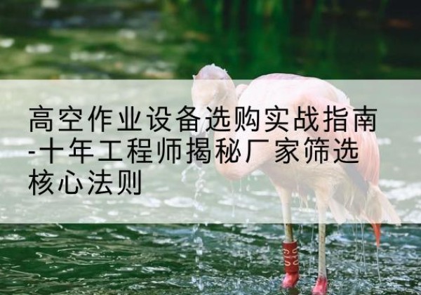 井冈山剪叉式升降机厂家-高空作业设备选购实战指南-十年工程师揭秘厂家筛选核心法则